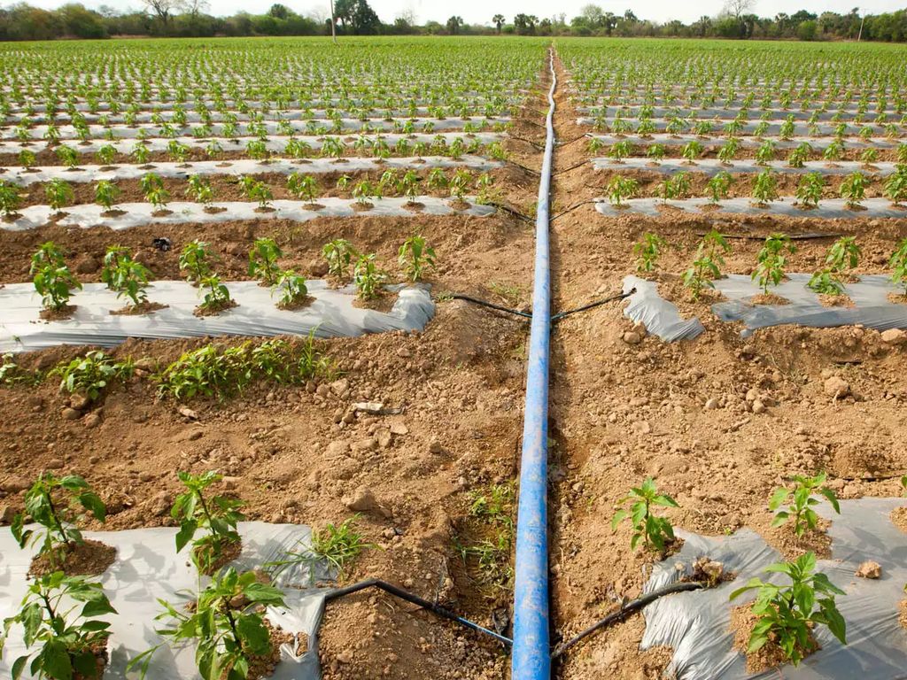 TPU Layflat Hose for Agricultural Irrigation